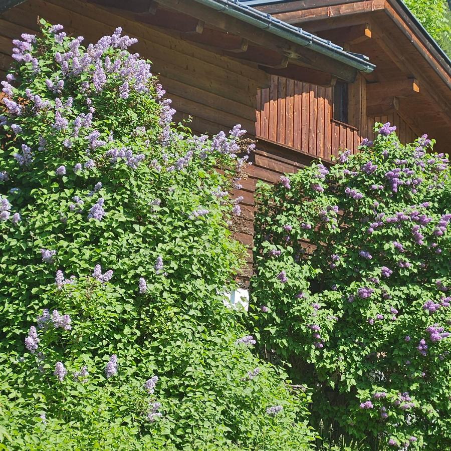 Haus Meikl Mühlbach am Hochkönig Exterior foto